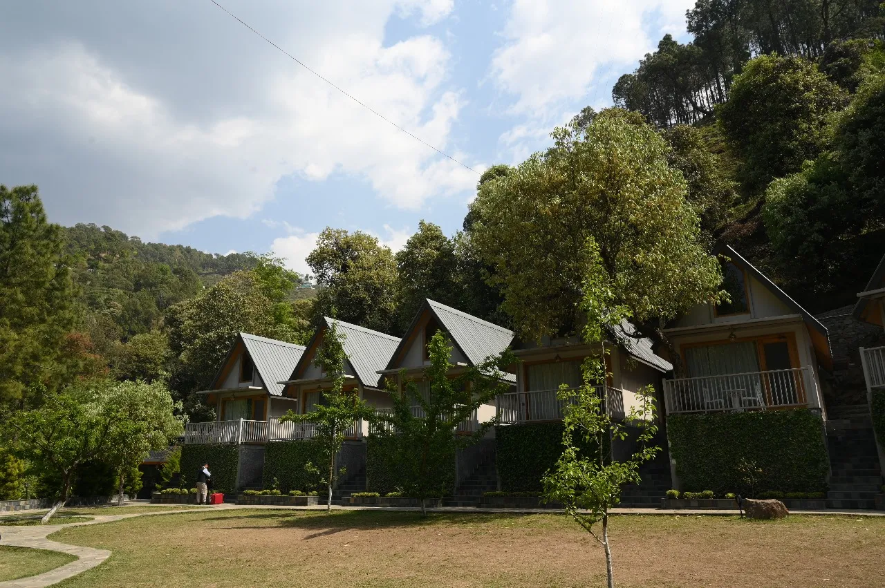 Kabana de Nature cottages surrounded by forest